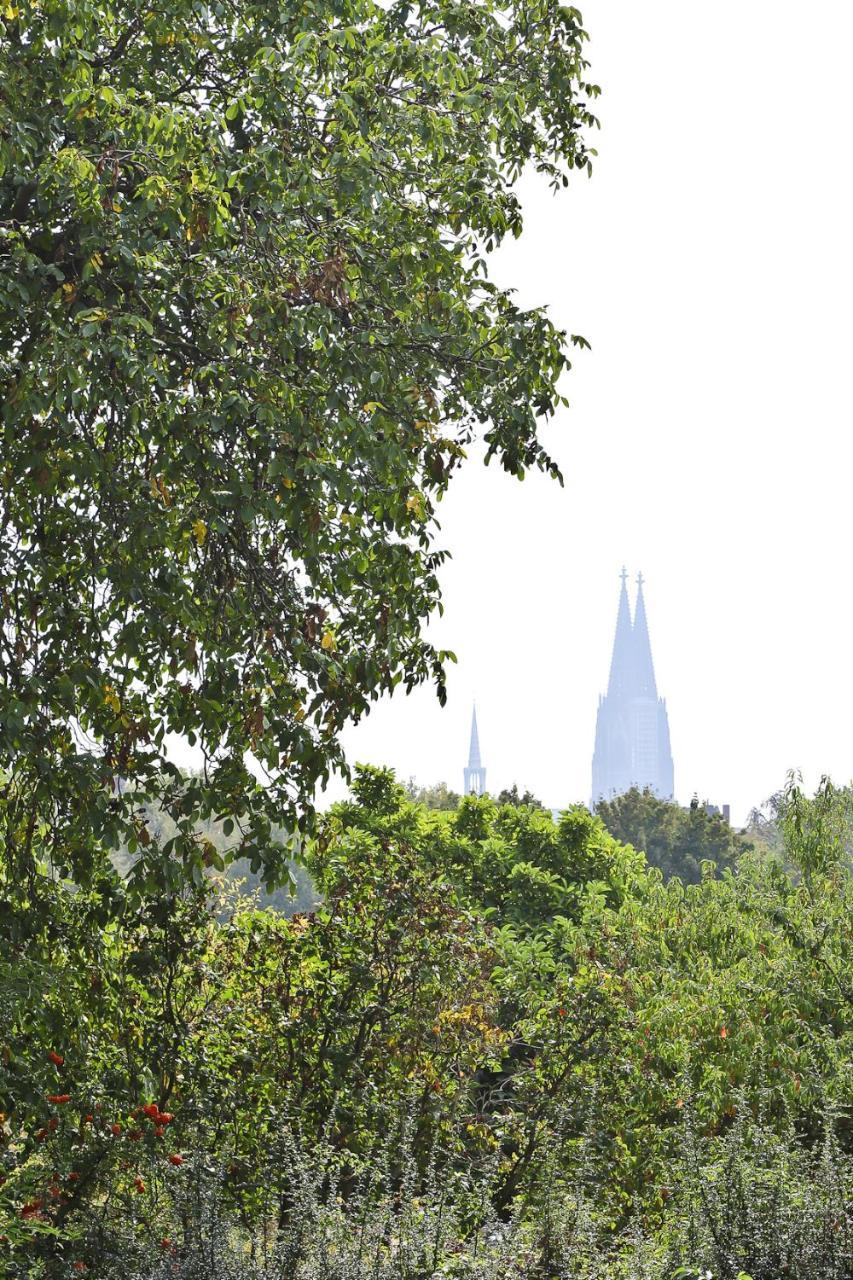 Top Apartments In Zentraler Lage Cologne Luaran gambar